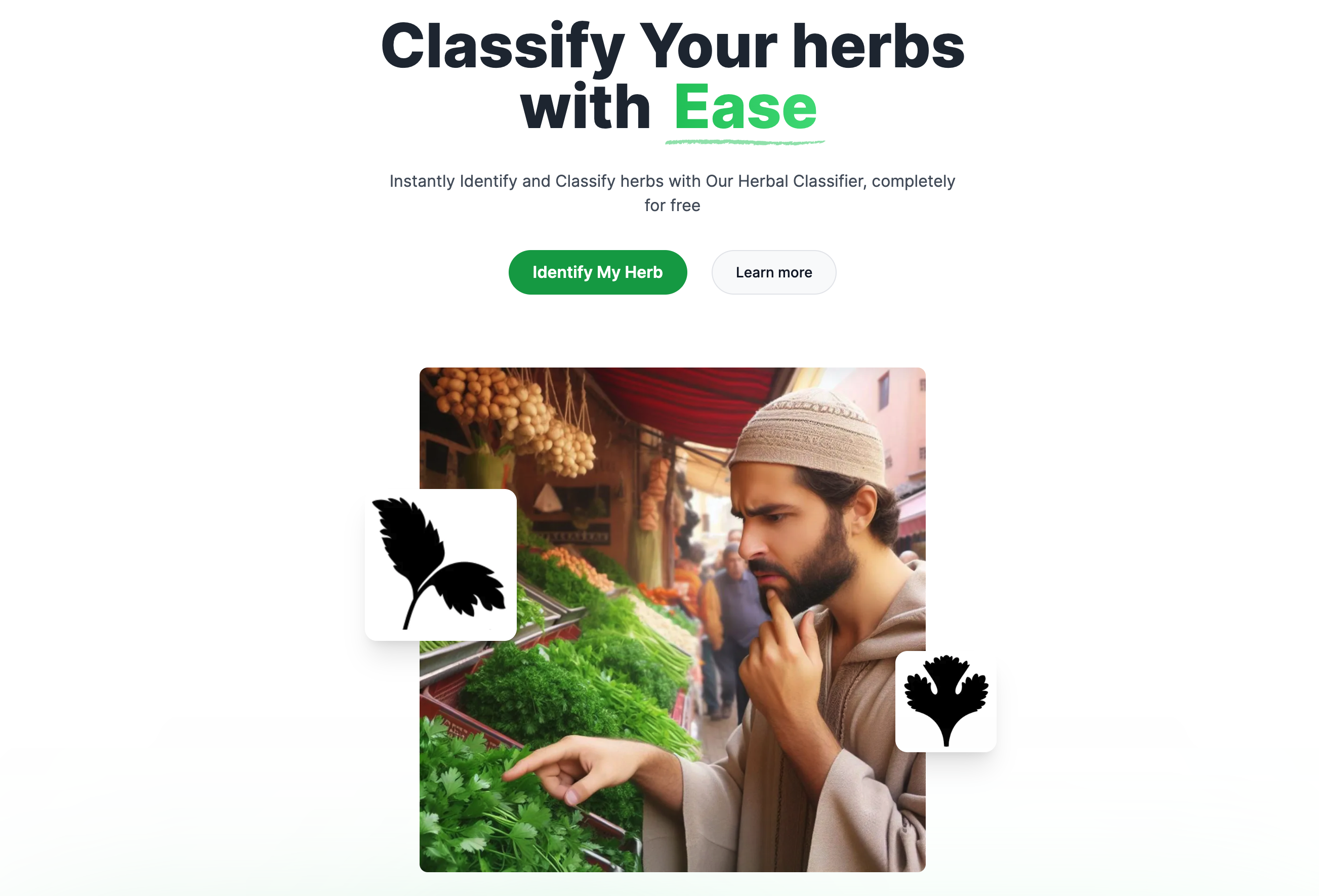 Herb Classifier — Parsley or Coriander? banner
